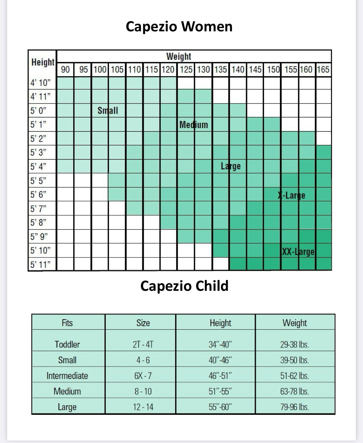 Tights: Capezio Professional Fishnet (No seam)